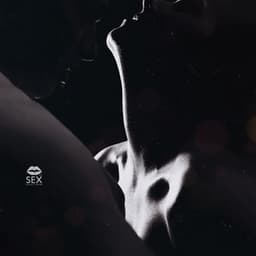 Electric Breaths, Lovers Unbound - Sex Music Zone