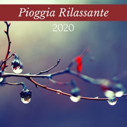 Pioggia Rilassante 2020: Musica Rilassante New Age, Suoni della Natura - Pioggia rilassante