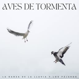 Aves De Tormenta: La Danza De La Lluvia Y Los Pájaros - Lluvia y Naturaleza