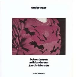 Underwear - Bobo Stenson