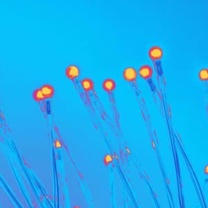 Lo-fi - Background for Right Vibes - Lofi Cafe