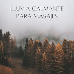 Lluvia Calmante Para Masajes - Danny sonidos de lluvia