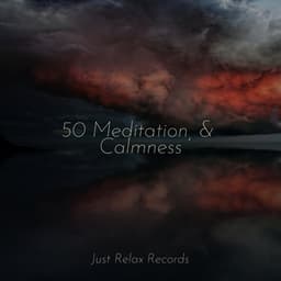50 Meditation, & Calmness - Sonidos De Lluvia y Tormentas