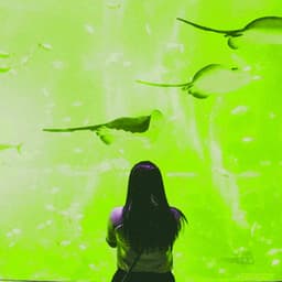 Music for Echelon Memories - ChillHop Beats