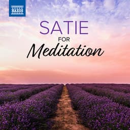 Satie For Meditation - Erik Satie