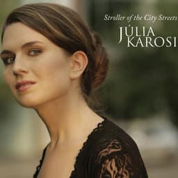 Stroller of the City Streets - Julia Karosi