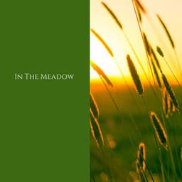 In the Meadow - Deep Rain Sampling