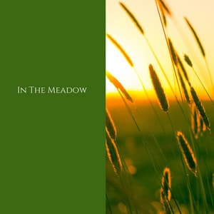 In the Meadow - Deep Rain Sampling