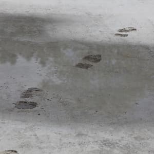 Moonlight Walk - Relaxing Jazz Piano