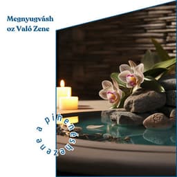 Megnyugváshoz Való Zene - Zene a Pihenéshez