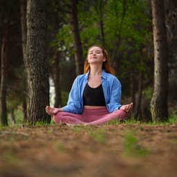 Nature Chorus of Meditation: Crickets and Rain Birds in Harmony - State of Distraction