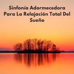 Sinfonía Adormecedora Para La Relajación Total Del Sueño - Sueños Triplete