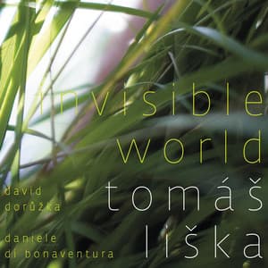 Invisible World - Tomáš Liška
