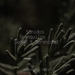 Sonidos Tranquilos | Sueño Y Serenidad - Meditation Spa