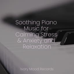 Soothing Piano Music for Calming Stress & Anxiety and Relaxation - Relaxing Piano Jazz Music Ensemble