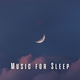 Music for Sleep: Harmonies for Restful Nights - Morning Chill Out Playlist