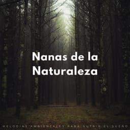 Nanas De La Naturaleza: Melodías Ambientales Para Nutrir El Sueño - Sonidos orgánicos de la naturaleza