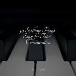 50 Sounds of Piano Nights - Study Music And Piano Music