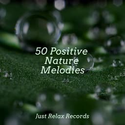 50 Positive Nature Melodies - Musica Reiki