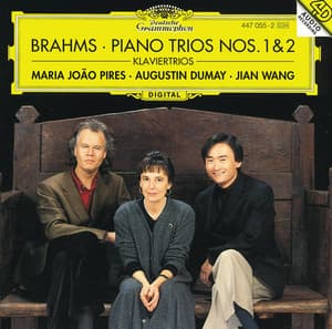 Brahms: Piano Trio Nos.1 Op.8 & 2 Op.87 - Johannes Brahms