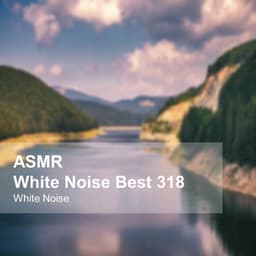 White Noise ASMR Best 317 - White Noise