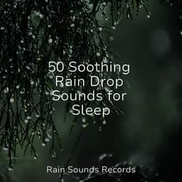50 Soothing Rain Drop Sounds for Sleep - Calming Waves