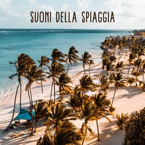 Suoni della spiaggia: Rumore delle onde oceaniche per il sonno profondo, rilassante, Calmo & Lenitivo - Bella zen rilassante