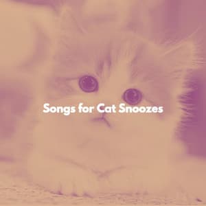 Songs for Cat Snoozes - Feel Good Dinner Music