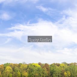 Fluxing Fireflies - Eon Wilder