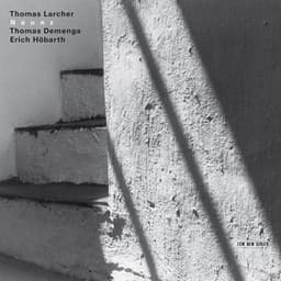 Thomas Larcher: Naunz - Thomas Larcher