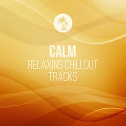 Calm Relaxing Chillout Tracks - Palm Analogue