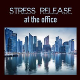 Stress Release at the Office: Sound Masking & New Age Music for Relaxation and Increased Concentration in Busy Workplace Environments - No Stress Ensemble