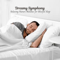 Dreamy Symphony: Relaxing Nature Melodies for Blissful Sleep - American Native