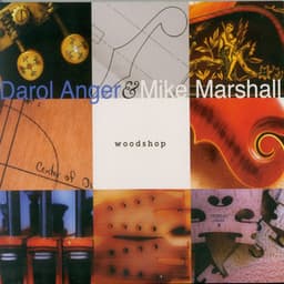 Woodshop - Darol Anger
