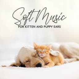 Soft Music for Kitten and Puppy Ears - Pet Relax Academy
