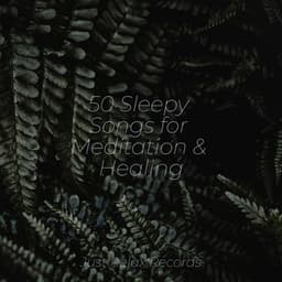 50 Sleepy Songs for Meditation & Healing - Relaxing Music