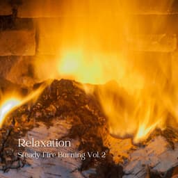 Relaxation: Steady Fire Burning Vol. 2 - Pink Noise Therapy