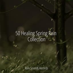 50 Healing Spring Rain Collection - Sonidos De Truenos y Lluvia