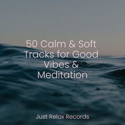 50 Calm & Soft Tracks for Good Vibes & Meditation - Study Music & Sounds