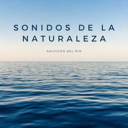 Sonidos De La Naturaleza: Salpicón Del Río - Ruidos de la Selva