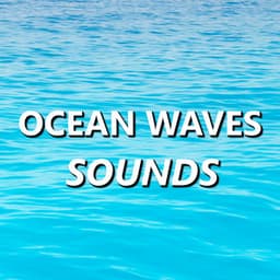 Ocean Waves Sounds - The Ocean Waves Sounds
