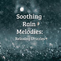 Soothing Rain Melodies: Relaxing Drizzles - Rain Sound Studio