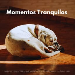 Serentas Para La Paz De Las Mascotas: Música Para Momentos Tranquilos - Algo de Música