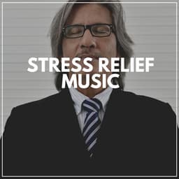 Stress Relief Music - Music For Relaxing