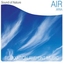 Air - Sound of Nature Band