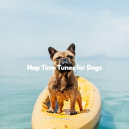 Nap Time Tunes for Dogs - Fun Jazz