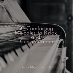 50 Comforting Melodies to Relax and Concentration - Meditación