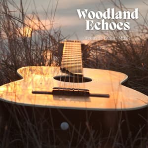 Woodland Echoes: Instrumental Guitar Music - Acoustic Guitar Music
