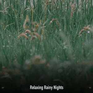 !!!!" Relaxing Rainy Nights "!!!! - Sonidos De Truenos y Lluvia