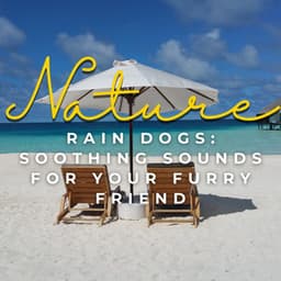 Rain Dogs: Soothing Sounds for Your Furry Friend - Cloud Cover